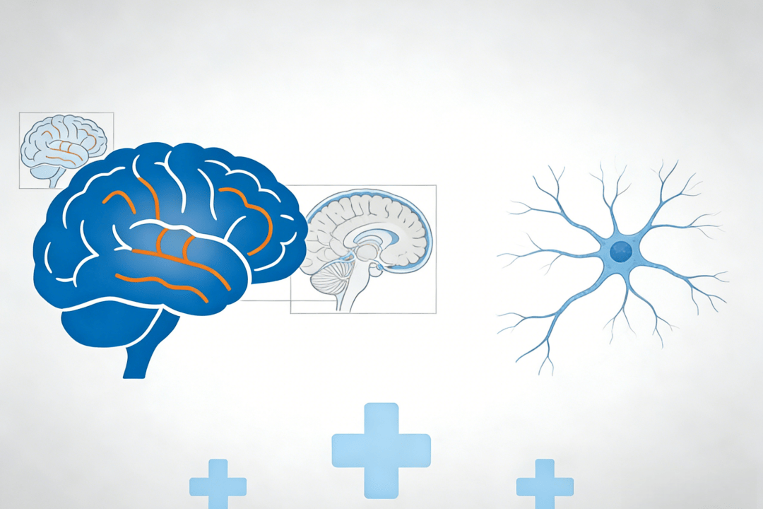 癫痫反复发作?可能是“继发性”的!这意味着什么? 癫痫反复发作?可能是“继发性”的!这意味着什么?